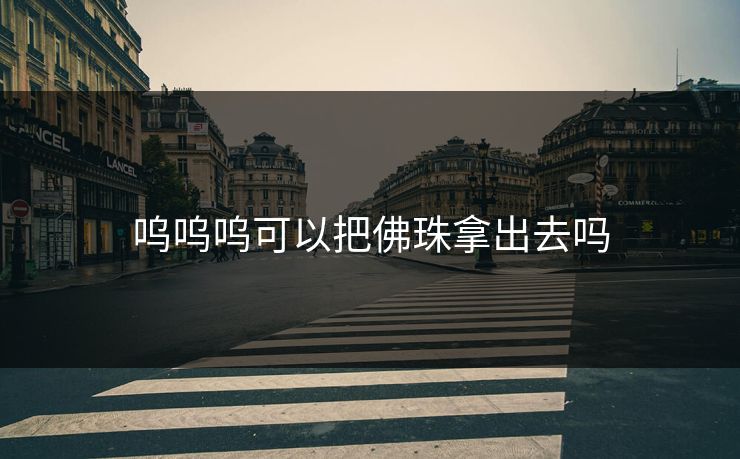 呜呜呜可以把佛珠拿出去吗 呜呜呜可以把佛珠拿出去吗