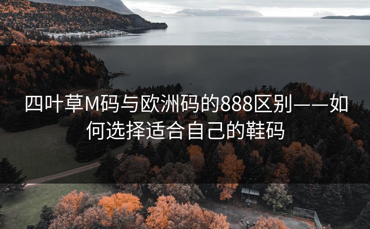 四叶草M码与欧洲码的888区别——如何选择适合自己的鞋码