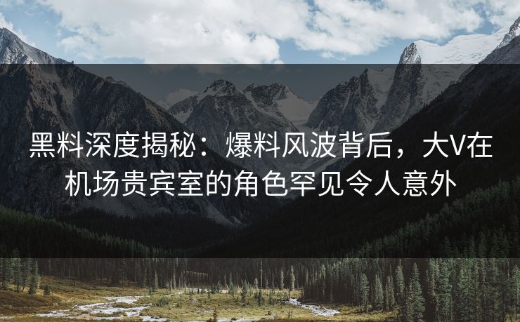 黑料深度揭秘:爆料风波背后,大V在机场贵宾室的角色罕见令人意外